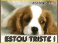 campeão