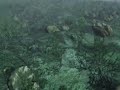 Underwater Visual FX.m4v
