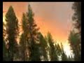 Jocko Lakes Fire @ Placid Lake
