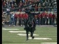 Texas Tech Pre Gator Bowl