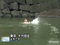 Naked foreigner swims in the Imperial Palace Moat!!