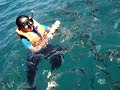 Met2 Snorkelling Malaysia