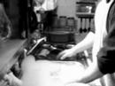 The dishwashing video... The dishwashing video...
