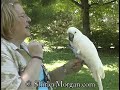 Ellen K. Cook, D.V.M. & Merlin, Moluccan Cockatoo