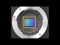 NEW Olympus E-P2 First Look