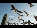 Descansar - Novo Tom