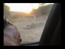 TIRO EMBARCADO TIRO EMBARCADO