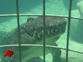 Thrill-seekers Get Wet With Crocodiles