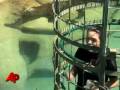 Thrill-seekers Get Wet With Crocodiles