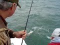 Lake Erie Fishing with Captain Tony Denslow