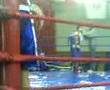 videos de acımasız boxer killerwolf