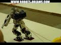 Wonderful Robot Carnival - Tokyo, Japan
