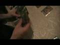 Tamas (Kacsa) vs Bence Gladiator beast vs TeleDAD 1/3