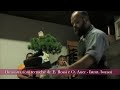 Mostra Triveneto Bonsai a Conegliano - 2 Tempo