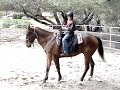 Kidzilla and the \"Newk\" First Equestrain Endeavor