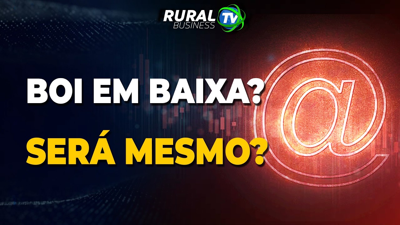 BOI EM BAIXA? SERÁ MESMO?