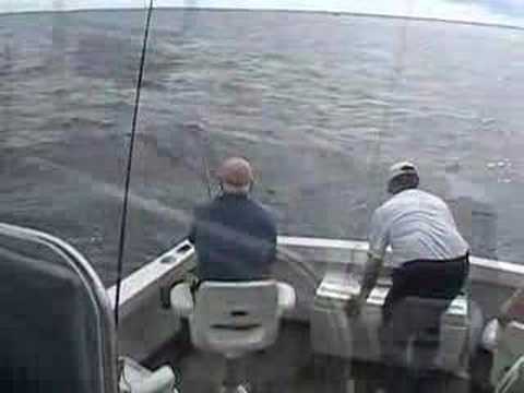 Big Bass in Cape Cod Bay