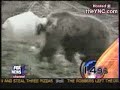 Bear head stuck in a plastic container
