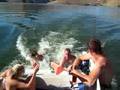 Dolphins of Brownlee Reservoir