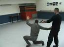 Police Special Technics Ninjitsu Style Police Special Technics Ninjitsu Style