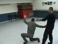 Police Special Technics Ninjitsu Style
