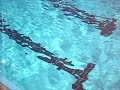 The Swimming Pool The Swimming Pool