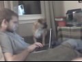 Falling asleep standing up