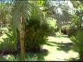 Villa Taman Perancak @ Canggu Bali 2007