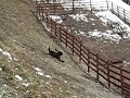 Trafficantes a Bardonecchia