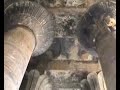 Chrám v EDFU Chrám v EDFU