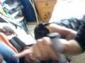 videos de maruko ebrio