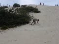 MOV00853