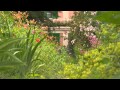 Normandie : le Jardin de Claude Monet à Giverny ...