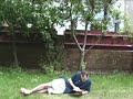 fly