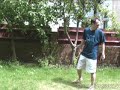 fly