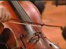 russian cellist borislav strulev. camille saint-saens, cello concerto no. 1 in a minor, op 33. orchestra sinfonica nazionale dell rai. maestro kristjan jarvi.