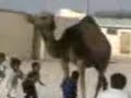 ملاهي بدو