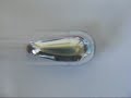 Mercury metal