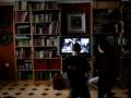 videos de prueba de punkis