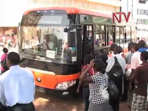 100 Pioneer Buses on the road...