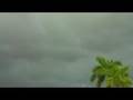 videos de gustfront
