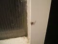 spiderbait pt 2