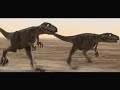Survival of the Fittest - Raptors