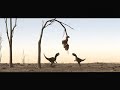 Survival of the Fittest - Raptors