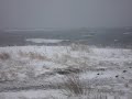 Winter by the ocean