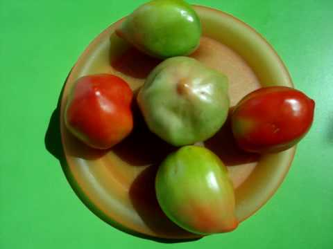 how to ripen green tomatoes off the vine