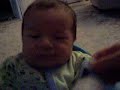 Avi - 6 weeks  old  # B