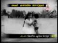 Thenil Aadum Roja தேனில் ஆடும் ரோஜா