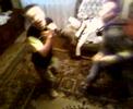 funny arabeasca