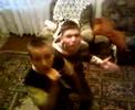 funny-arabeasca